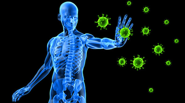 imunita a mikrobiom